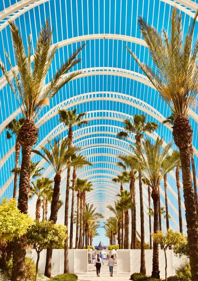 Ciutat de les arts i les ciències